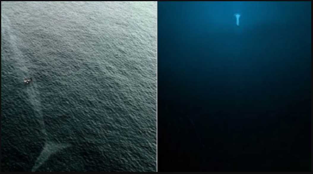 10 Gambar ini Menunjukkan Laut Sememangnya Menyimpan Terlalu Banyak Rahsia dan Misteri 1
