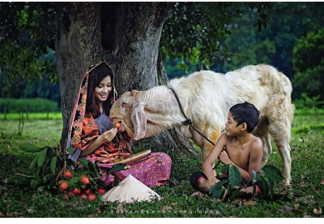 Di Sebalik Juara Foto Peringkat Asia, Lihat Gambar-Gambar Terbaik Hasil Jurugambar Ini Yang Sememangnya Rare 12